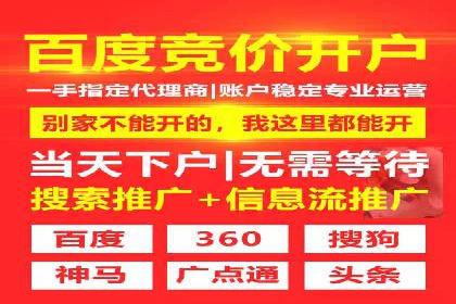 案例研究：竞价广告助力电商行业增长